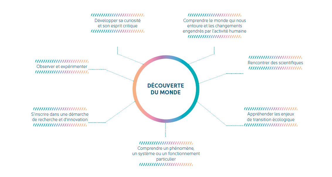 parcours sciences