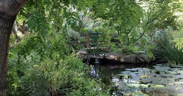 Jardin botanique
