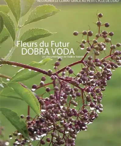Fleurs du futur : Dobra Voda