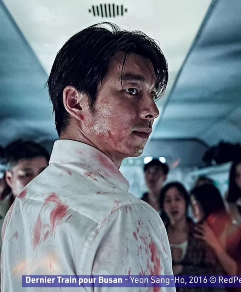 Focus Corée du Sud : Dernier train pour Busan