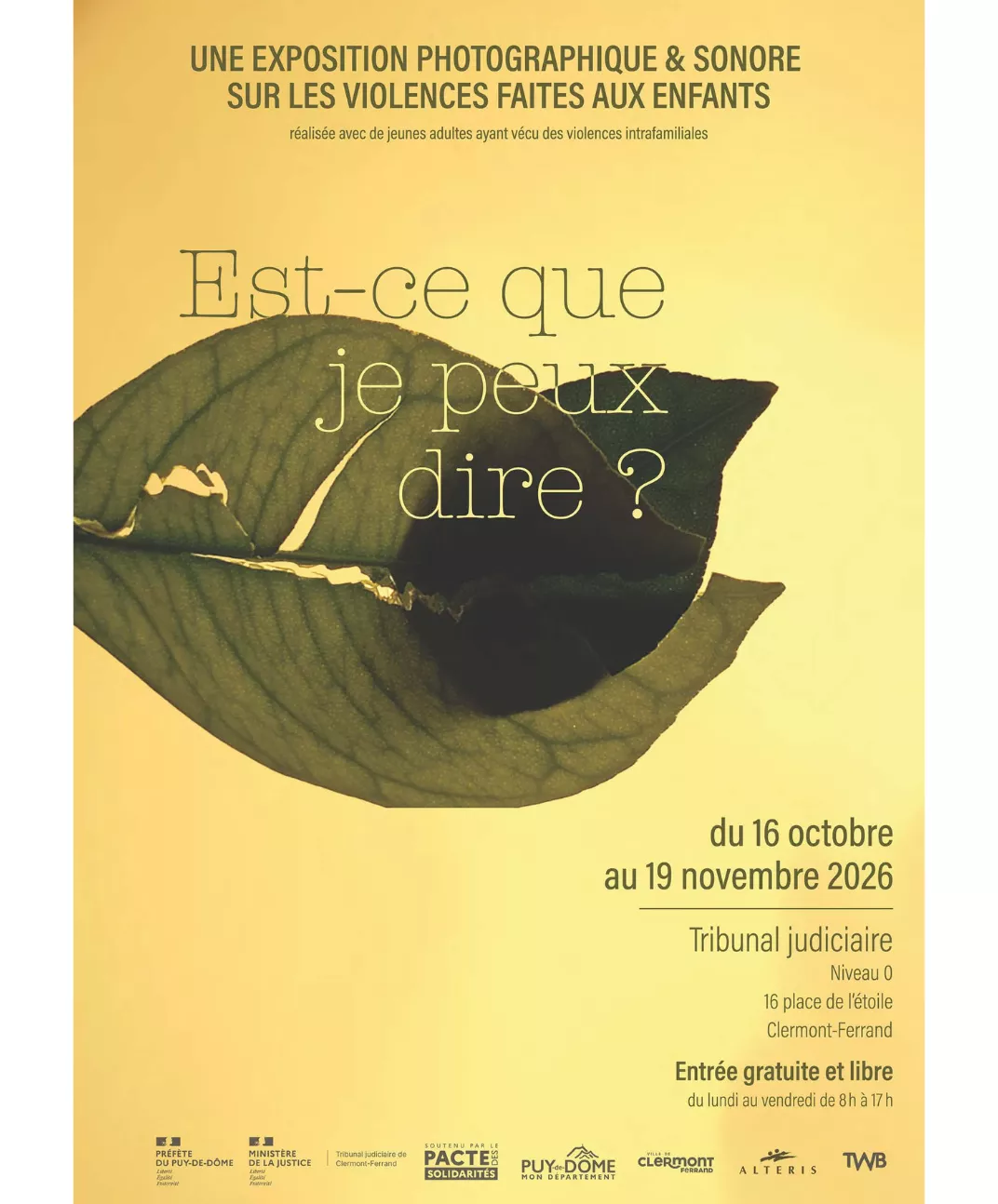 visuel expo Est-ce que je peux dire ?
