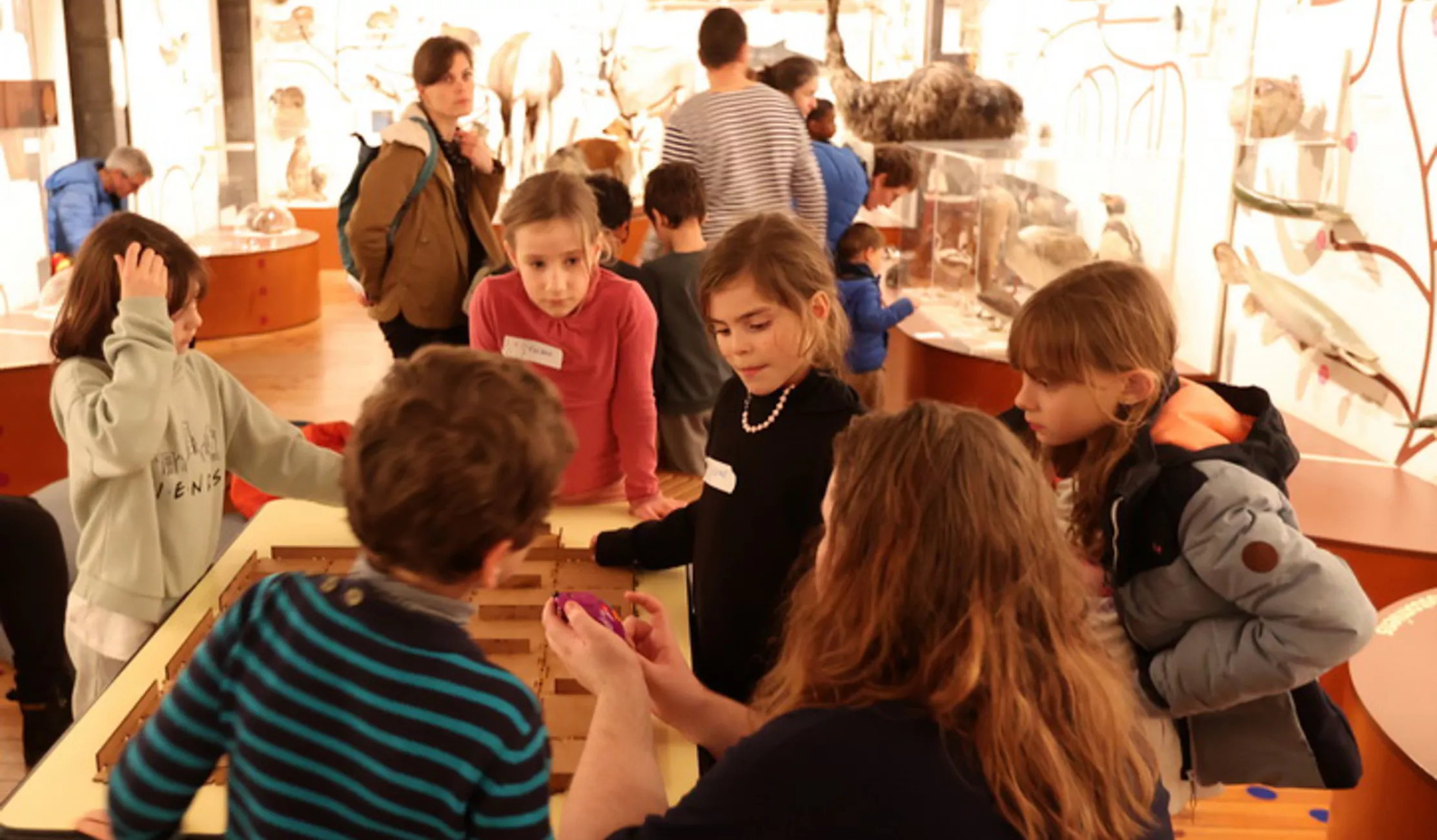 Soirée des maths : ateliers et jeux mathématiques