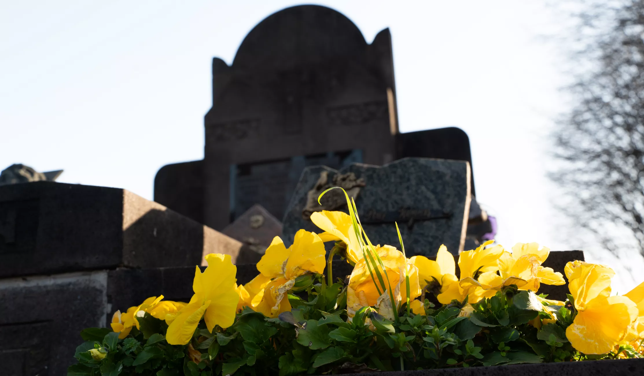 Cimetière de Saint-Jacques(c)Ville de Clermont-Ferrand - Antoine Quereuil