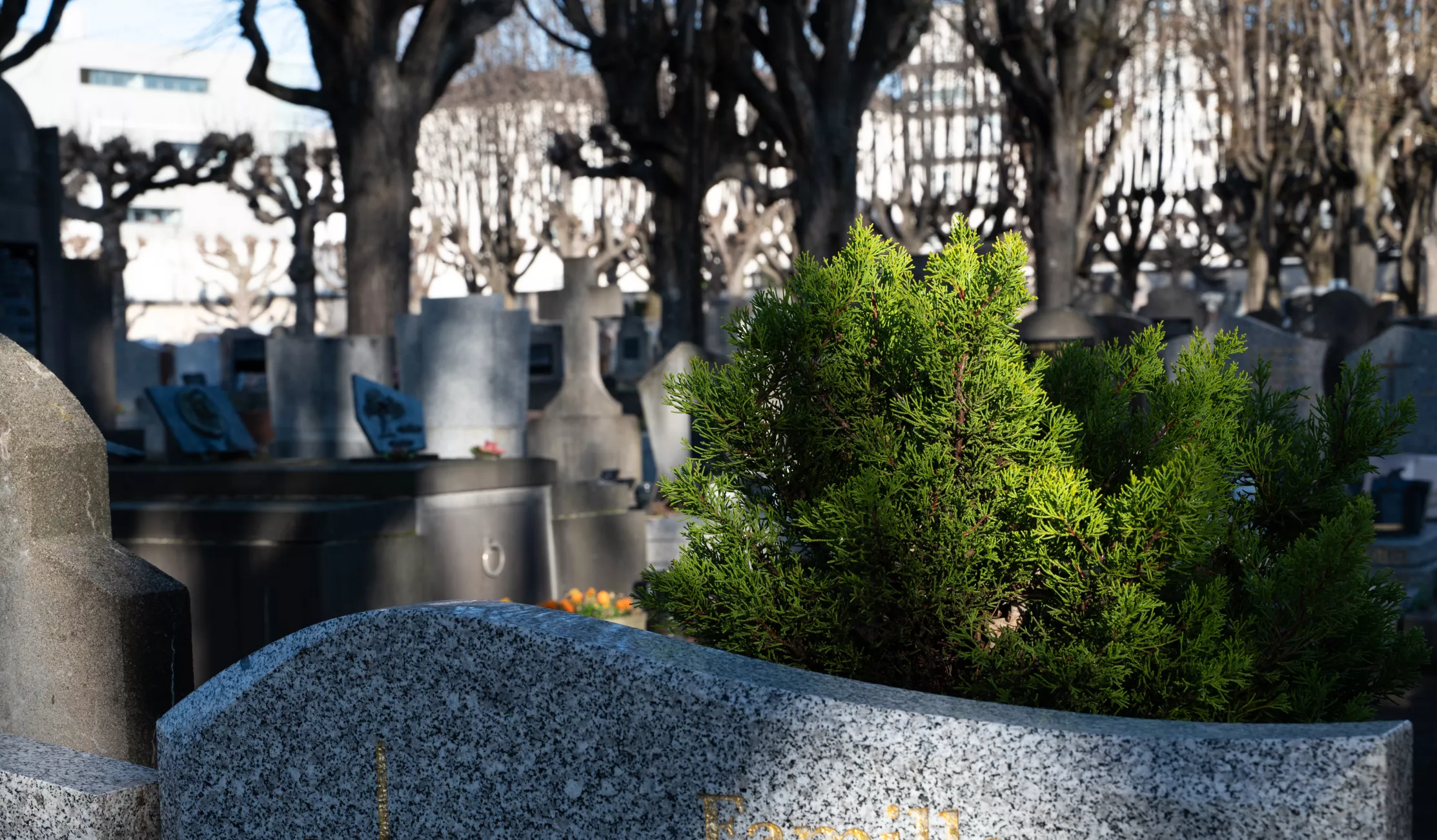 Cimetière de Saint-Jacques(c)Ville de Clermont-Ferrand - Antoine Quereuil
