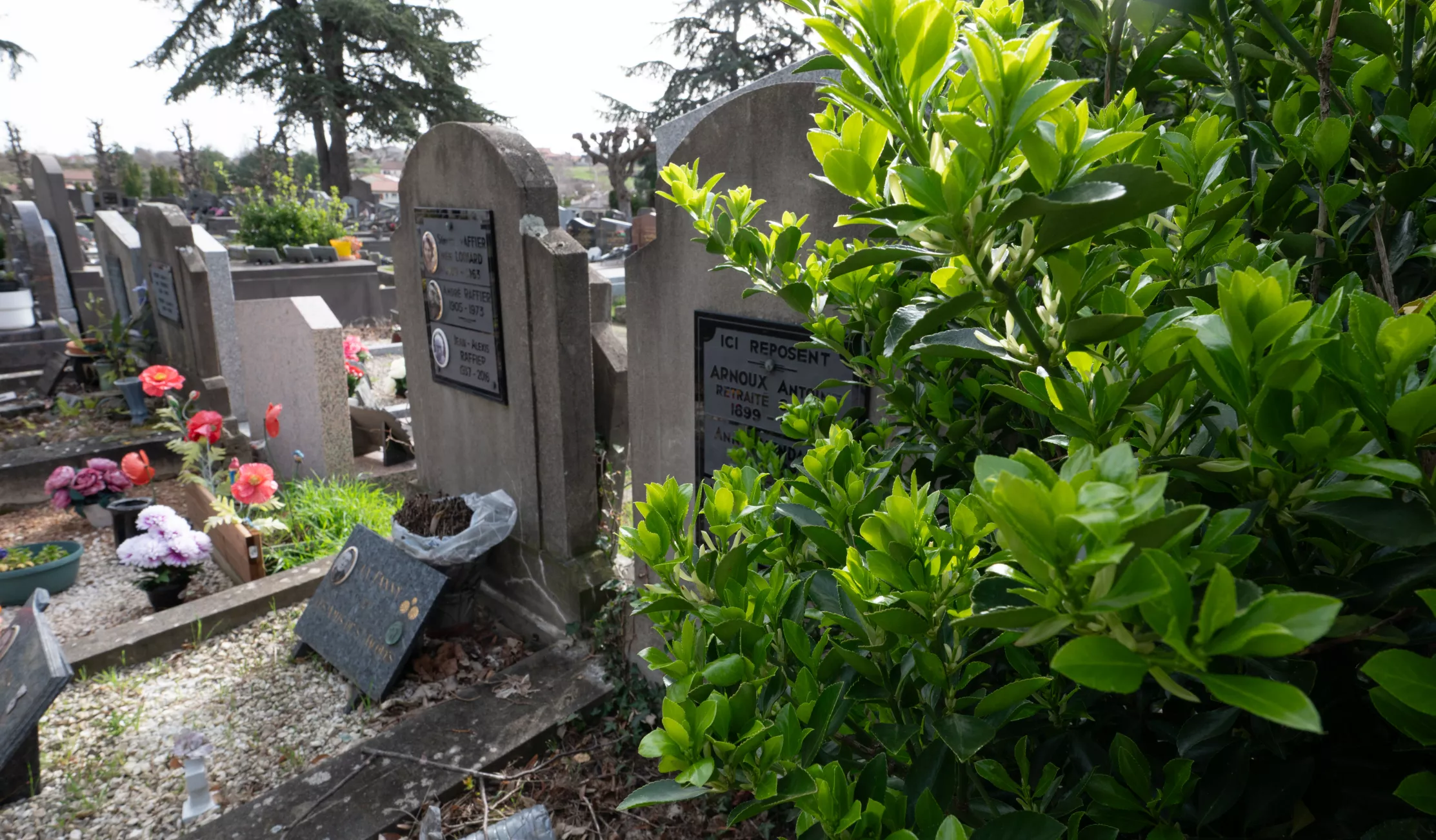 Cimetière de Saint-Jacques(c)Ville de Clermont-Ferrand - Antoine Quereuil