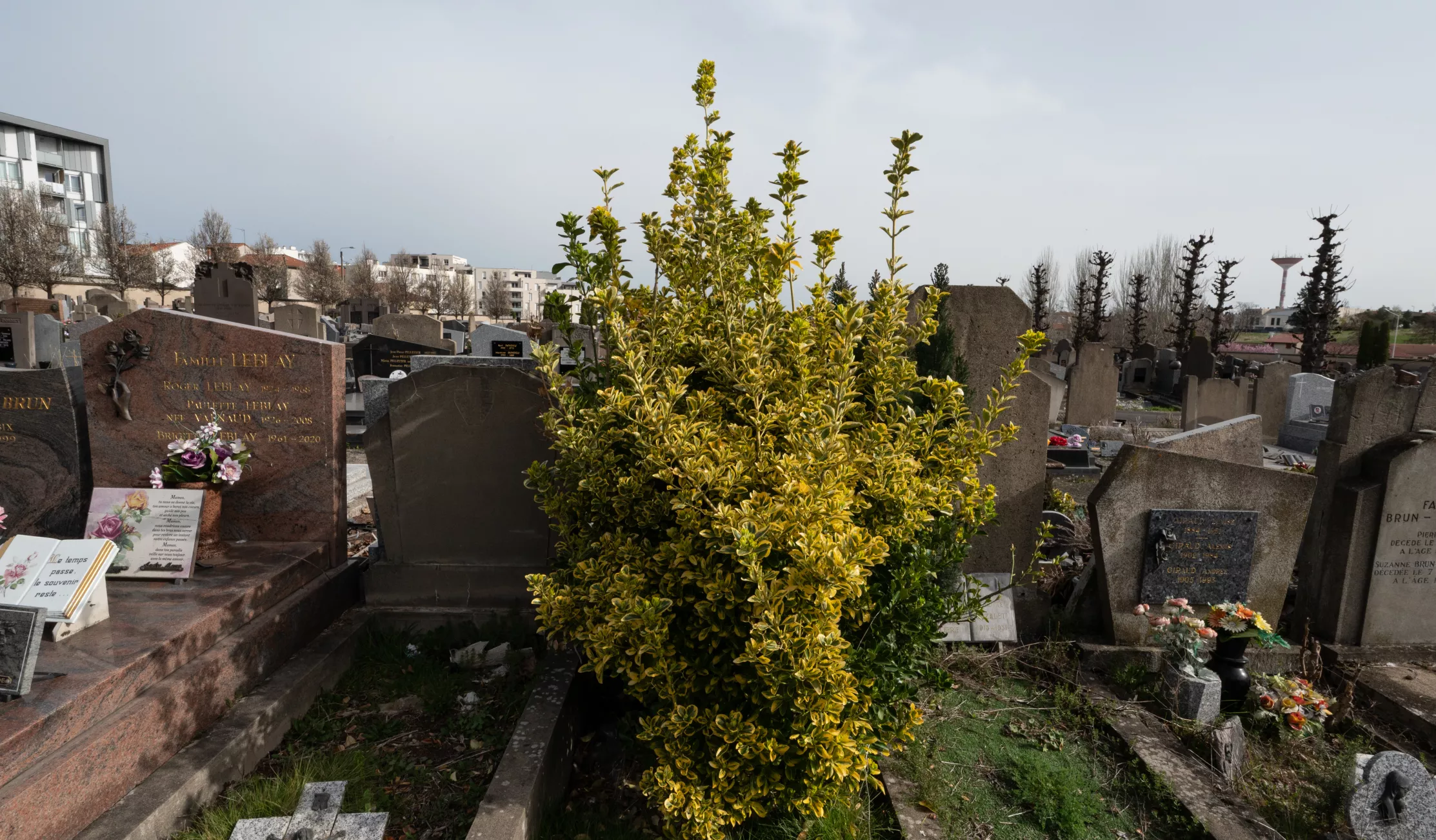 Cimetière de Saint-Jacques(c)Ville de Clermont-Ferrand - Antoine Quereuil