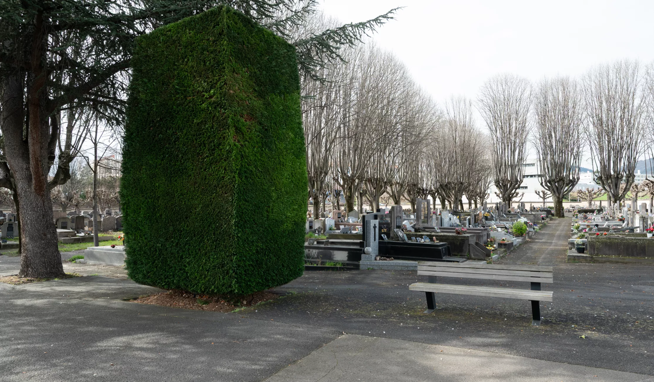 Cimetière de Saint-Jacques(c)Ville de Clermont-Ferrand - Antoine Quereuil