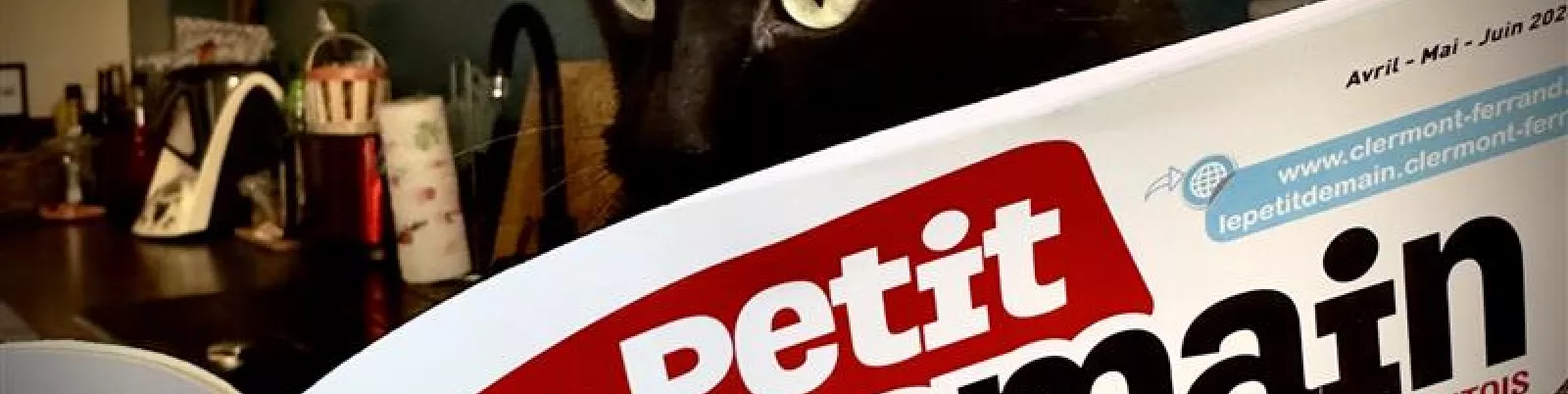 Chat noir qui regarde le magazine Le Petit Demain n°48