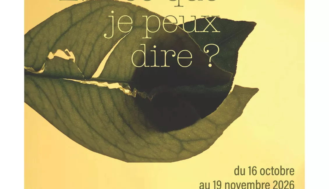 visuel expo Est-ce que je peux dire ?