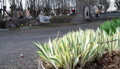 Cimetière de Saint-Jacques(c)Ville de Clermont-Ferrand - Antoine Quereuil